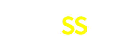 3SS
